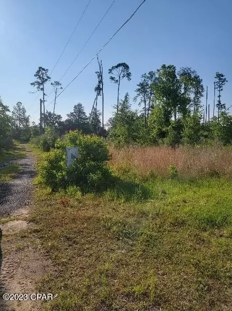 853 Kirkland Rd, Chipley, FL 32428 photo 2