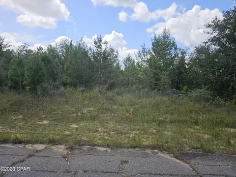 lot2 Angora Dr, Chipley, FL 32428 photo 2