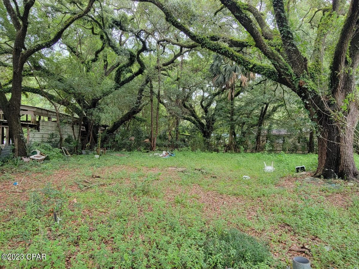 0 Jackie Whitehurst St