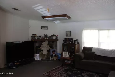 4401 Moss Hill Rd, Chipley, FL 32428 photo 3