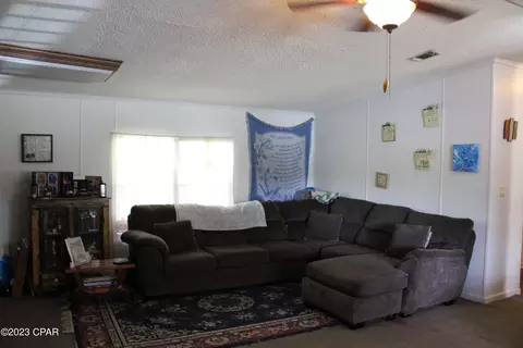 4401 Moss Hill Rd, Chipley, FL 32428 photo 4