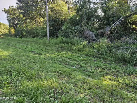 0000 Fanning Branch Rd, Vernon, FL 32462