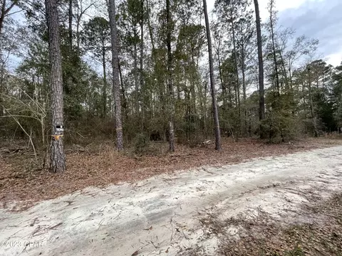 0000 Woodland Trl, Chipley, FL 32428