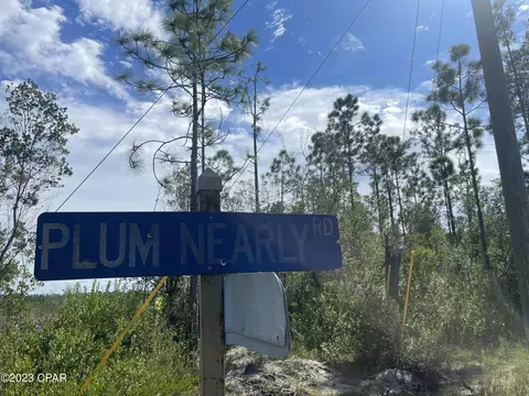 00 Plum Nearly Rd, Fountain, FL 32438