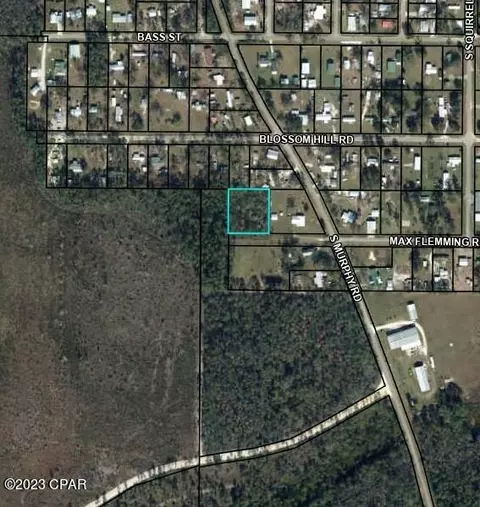 tbd Max Flemming Rd, Wewahitchka, FL 32465