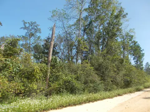 lot12 Los Padres Ave, Alford, FL 32420