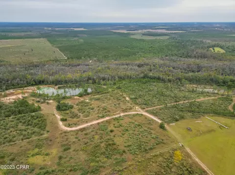 9908 Mark Barbee Rd, Kinard, FL 32449