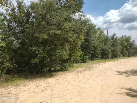 Nnn Papaya Drive, Marianna, FL 32448