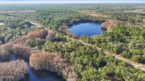 4679 Moss Hill Rd, Chipley, FL 32428 photo 31