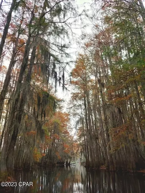 4679 Moss Hill Rd, Chipley, FL 32428 photo 29