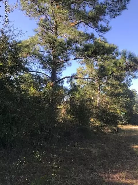 0 Fairview Rd #L1 BLK90, Alford, FL 32420