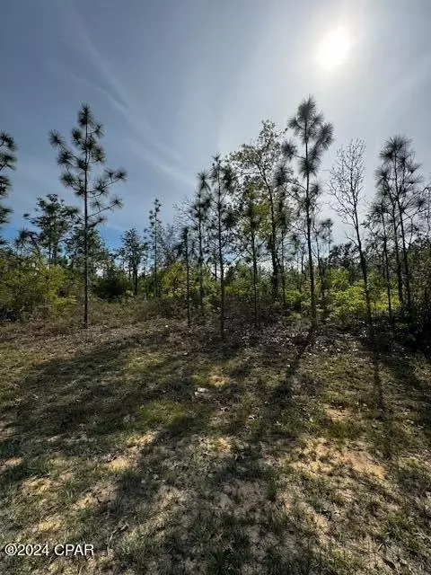 lot4 Blk 0307 Tripoli Dr, Chipley, FL 32428