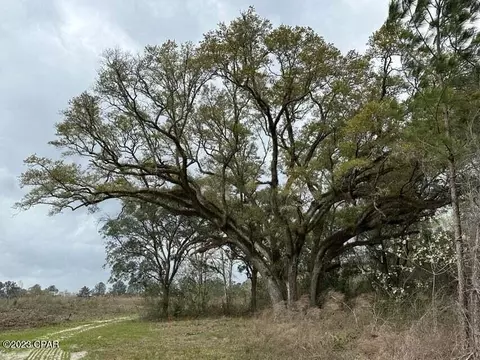 Tract#6201 S County Hwy 181 #1, Defuniak Springs, FL 32433