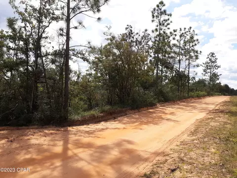 0 Capulin St, Alford, FL 32420