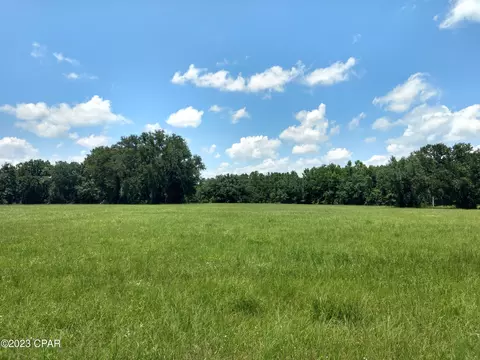 2585 Coy Hinson Rd, Bonifay, FL 32425