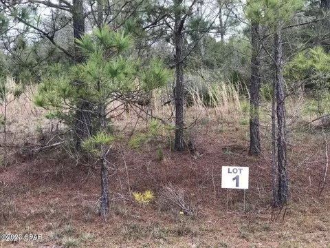 lot1 Madison Ln, Chipley, FL 32428