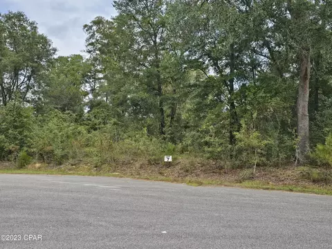 lot7 Madison Ln, Chipley, FL 32428