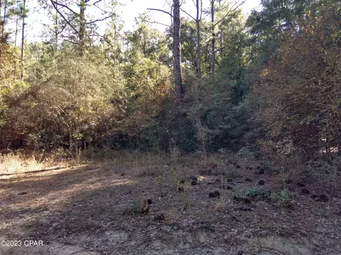 0 Little John Ln, Bonifay, FL 32425