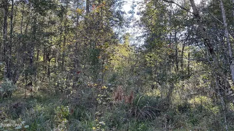0 C-180 Hwy, Baker, FL 32531 photo 23