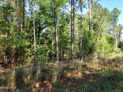 tbd Little John Ln, Bonifay, FL 32425