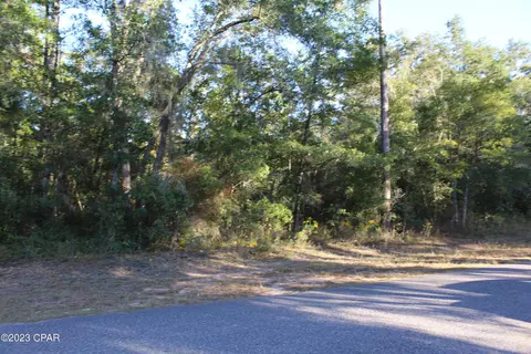 tbd Paradise Lakes Rd, Chipley, FL 32428