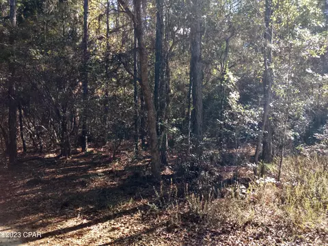 000 Little John Ln, Bonifay, FL 32425