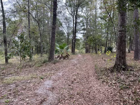 3354 Spring Lakes Dr, Chipley, FL 32428 photo 14