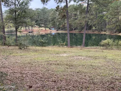 3354 Spring Lakes Dr, Chipley, FL 32428 photo 6