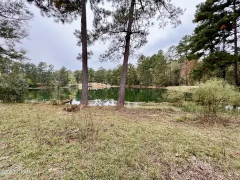 3354 Spring Lakes Dr, Chipley, FL 32428 photo 5