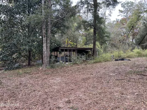3354 Spring Lakes Dr, Chipley, FL 32428 photo 9