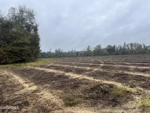 0000 Sapp Rd, Cottondale, FL 32431 photo 6