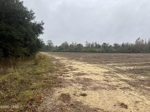 0000 Sapp Rd, Cottondale, FL 32431 photo 8