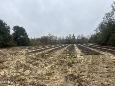 0000 Sapp Rd, Cottondale, FL 32431 photo 7