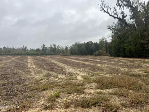 0000 Sapp Rd, Cottondale, FL 32431 photo 2