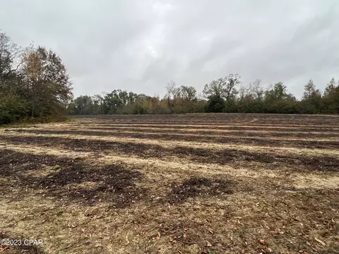 0000 Sapp Rd, Cottondale, FL 32431 photo 3