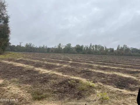 0000 Sapp Rd, Cottondale, FL 32431 photo 5