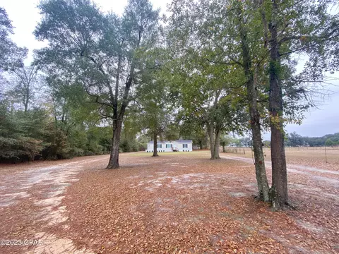 6499 Lovedale Rd, Bascom, FL 32423 photo 2
