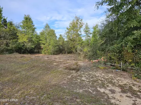 lot51 Country Club Blvd, Chipley, FL 32428