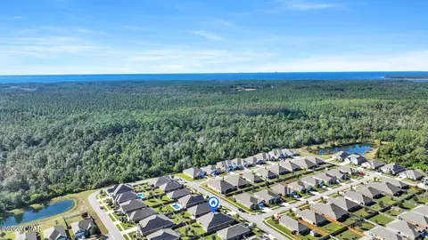 272 Lottie Loop, Freeport, FL 32439 photo 52