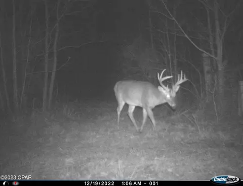 tbd Corbin Rd, Cottondale, FL 32431 photo 4