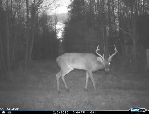 tbd Corbin Rd, Cottondale, FL 32431 photo 5