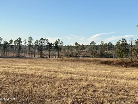 1401 Lake Victor Rd, Westville, FL 32464