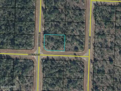 00 Bradford Ave, Chipley, FL 32428