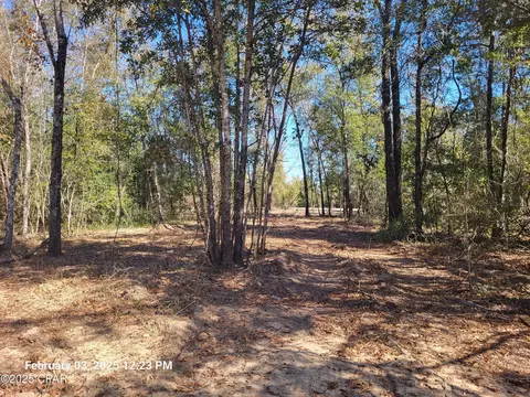 00 NW Tommy Tucker Rd #LOT 1, Altha, FL 32421