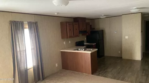 20974 State Road 71, Altha, FL 32421 photo 6
