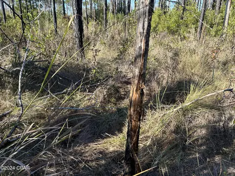 0 Aegean Dr, Milton, FL 32583 photo 15
