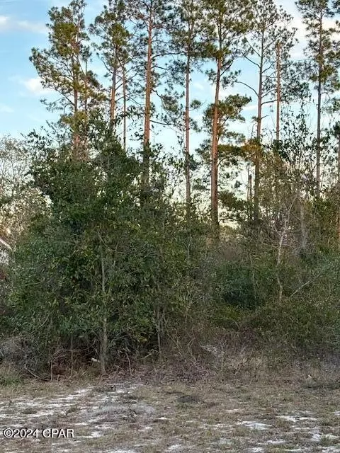 0000 Santa Rosa Ave, Southport, FL 32409