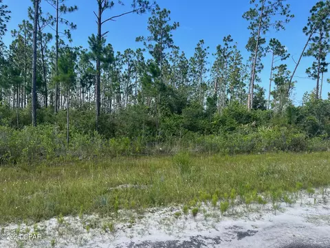 6 Chellsey St, Wewahitchka, FL 32465