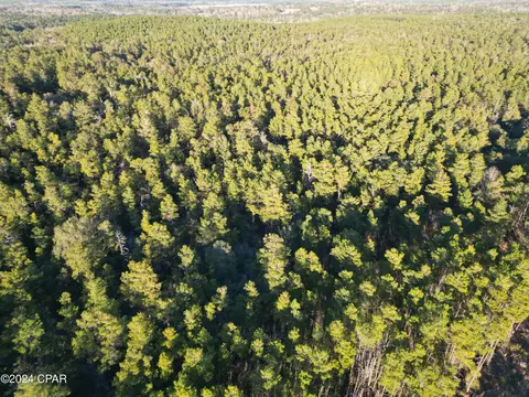 0000 Holmes Valley Rd, Vernon, FL 32462
