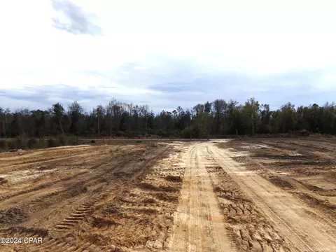25170 NW Flanders Grade, Altha, FL 32421